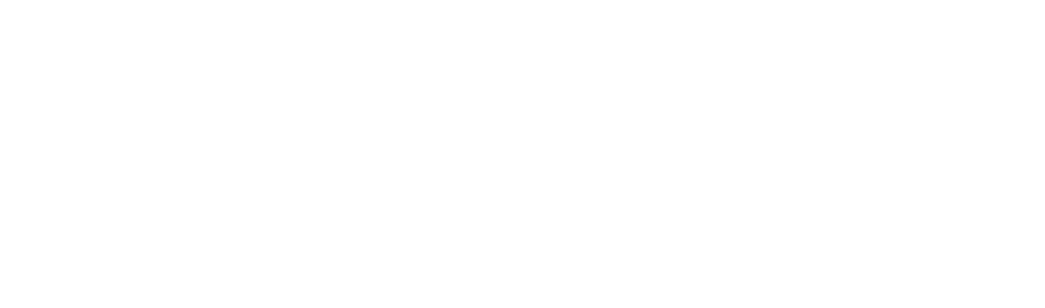 Tecman Logo